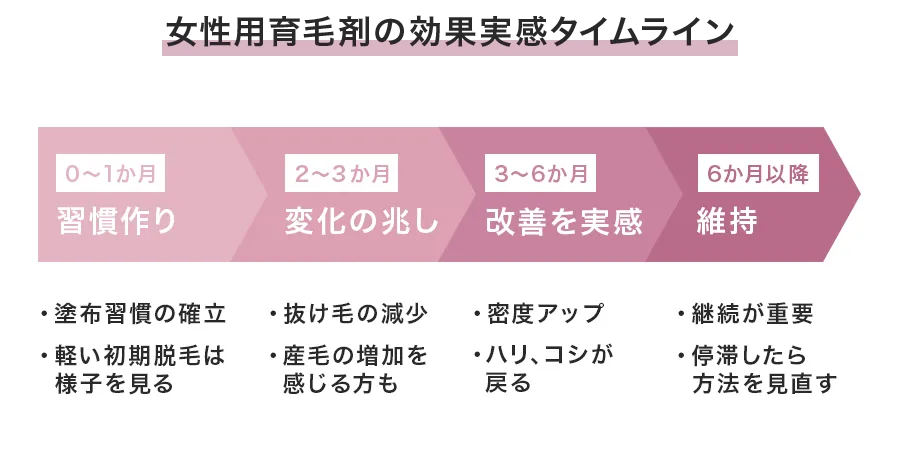 使い始めから実感までのタイムライン(目安:4~6か月)