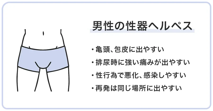 男性の性器ヘルペス