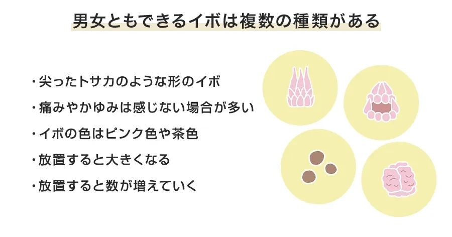 尖圭コンジローマの主な症状|初期症状から進行時まで