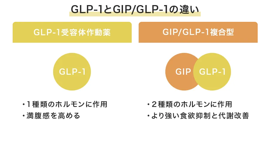 肥満症にも承認された治療薬「GIP/GLP-1受容体作動薬」とは