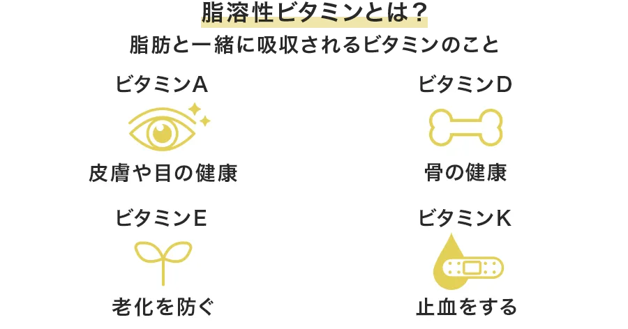 脂溶性ビタミンってなに?