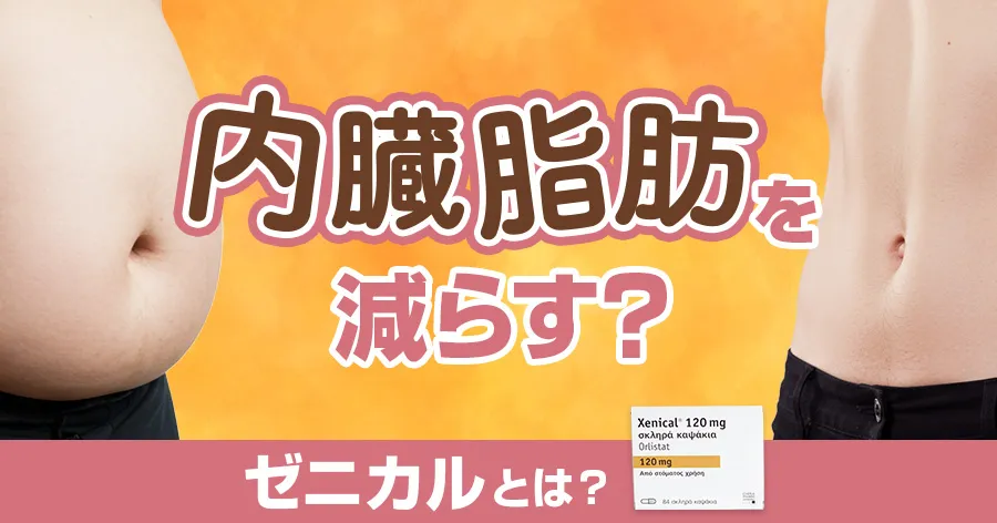 ゼニカル(オルリスタット)内臓脂肪減少薬の効果と作用機序