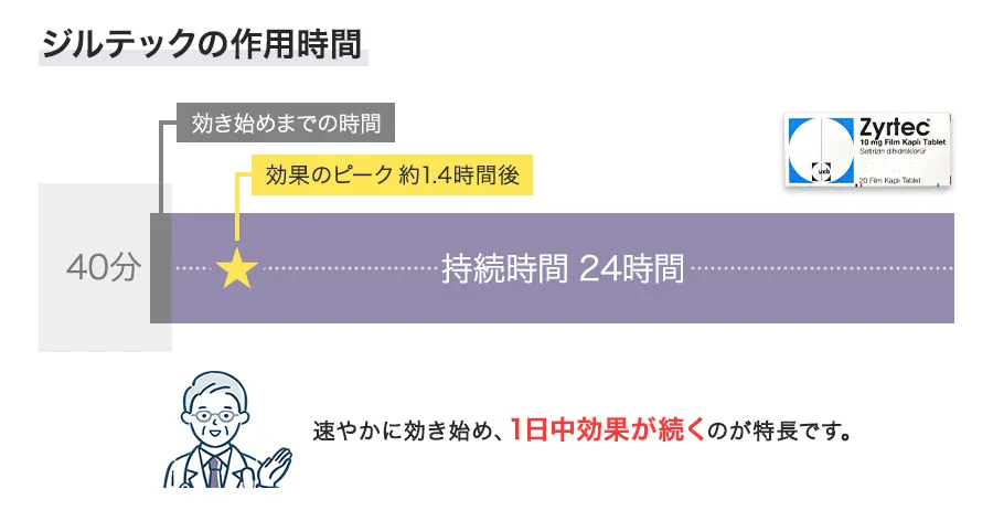 ジルテックの作用時間