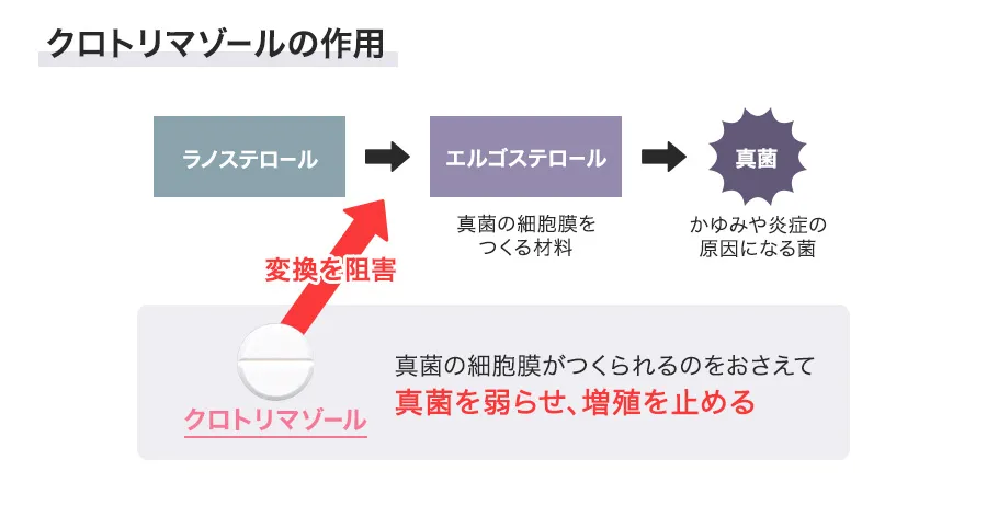 ケトラルの作用機序