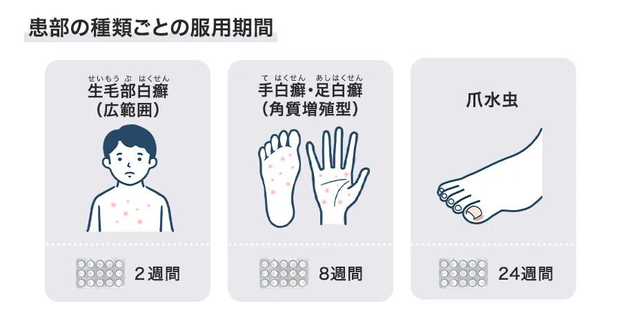 セビフィンの服用期間