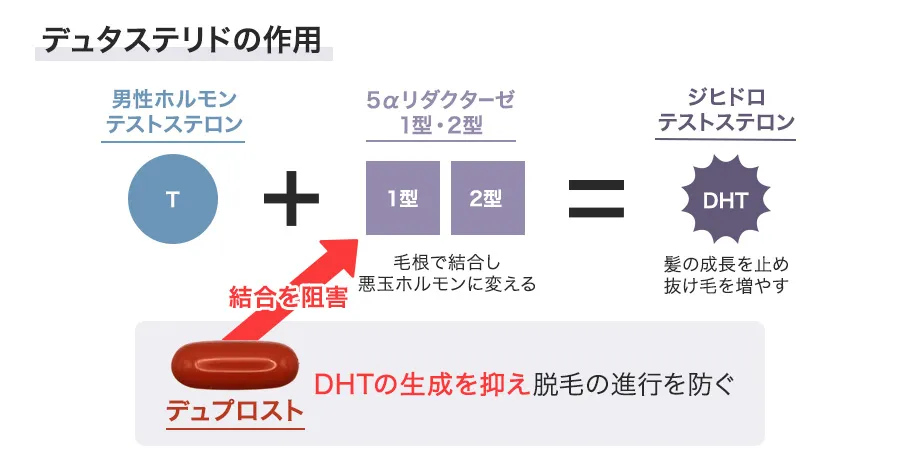 デュプロストの作用機序