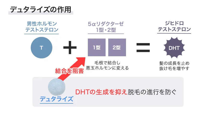 デュタライズの作用機序