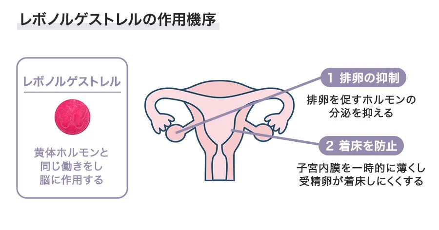 アイピルの作用機序