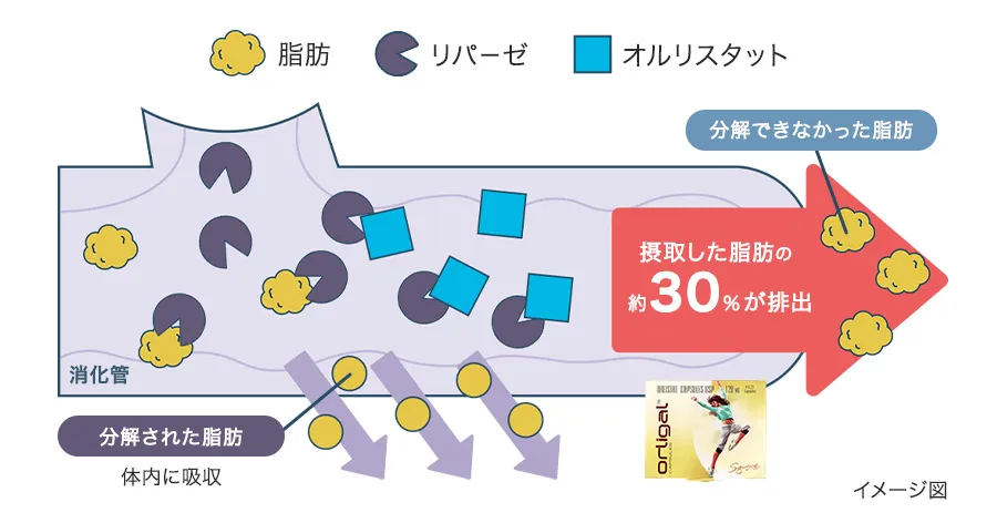 オルリガルの作用機序