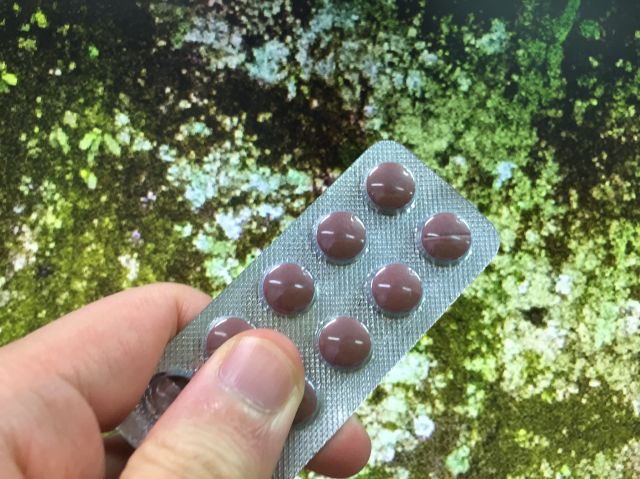 スーパービダリスタの「社長からの」の投稿写真