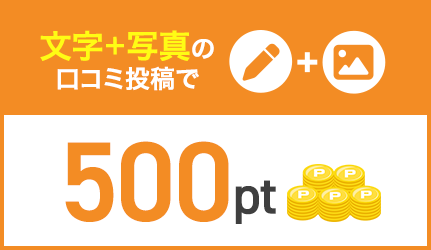 文字+写真の口コミ投稿で500ポイント