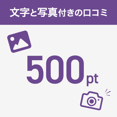 文字と写真付きの口コミ500ポイント