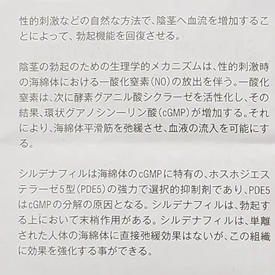 シログラ100mgの取扱説明書