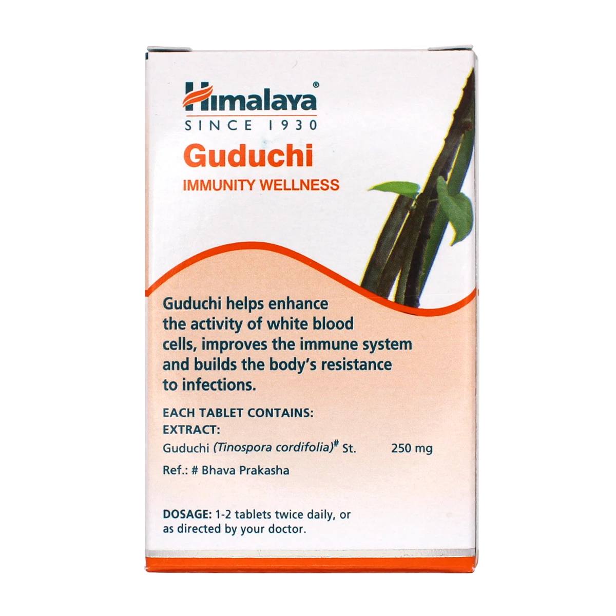 箱背面のサムネイル画像