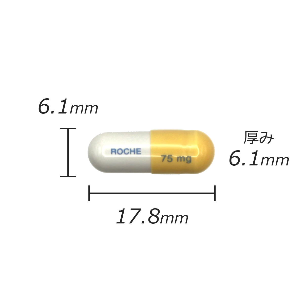カプセル剤の計測値のサムネイル画像