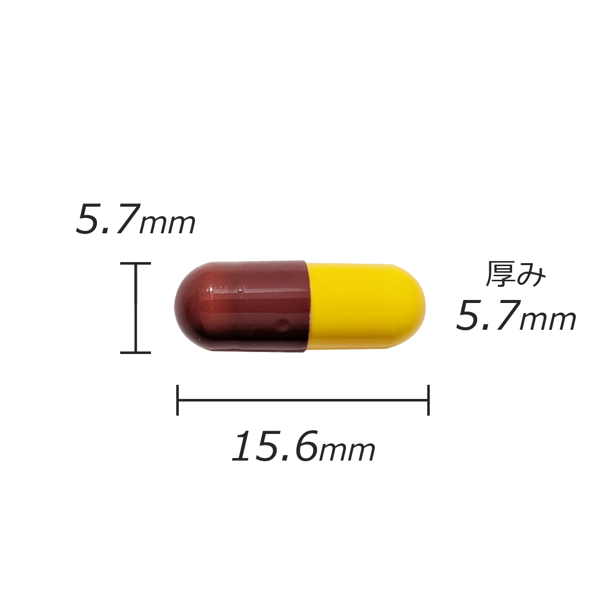 カプセル剤の計測値のサムネイル画像