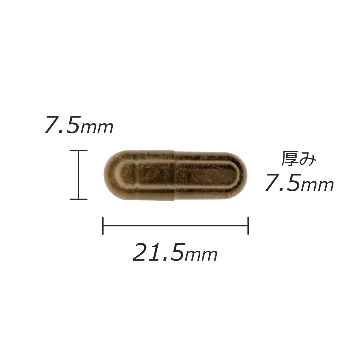 カプセル剤の計測値のサムネイル画像