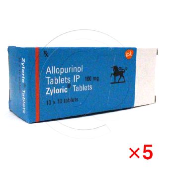 ザイロリック100mg【5箱セット】の画像