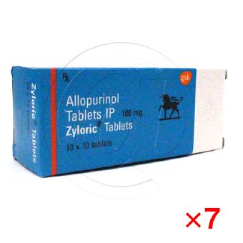 ザイロリック100mg【7箱セット】の画像