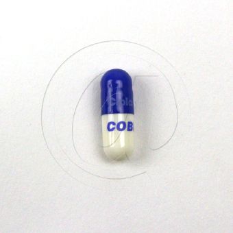 コビックス100mg(セレコックスジェネリック)【3箱セット】の画像