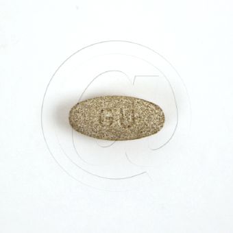 グドゥチの画像
