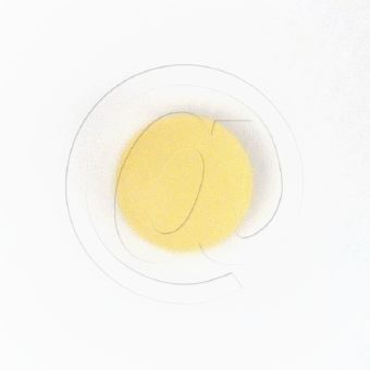 サビトラ10mg【7箱セット】の画像