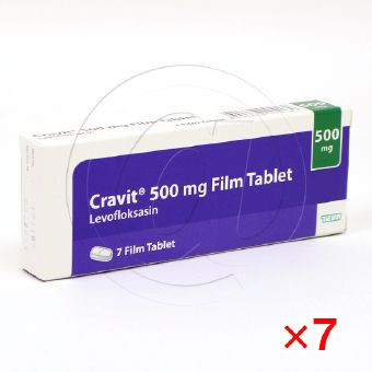 クラビット500mg【7箱セット】の画像