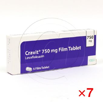 クラビット750mg【7箱セット】の画像