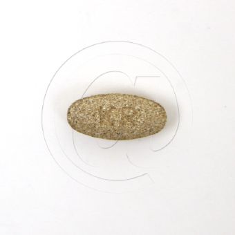 カレラの画像