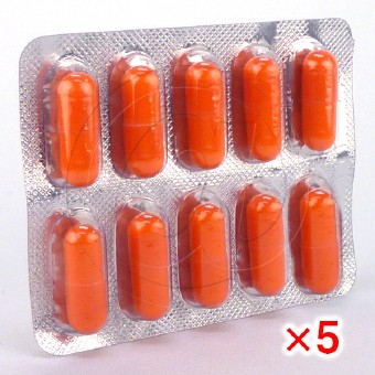 カンピシリン500mg(ビクシリンジェネリック)【5シートセット】の画像