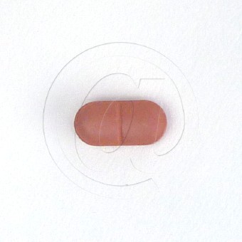 レボクイン250mg(クラビットジェネリック)の画像