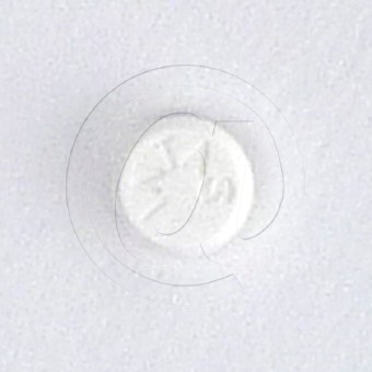 ラメズ25mg(ラミクタールジェネリック)の画像