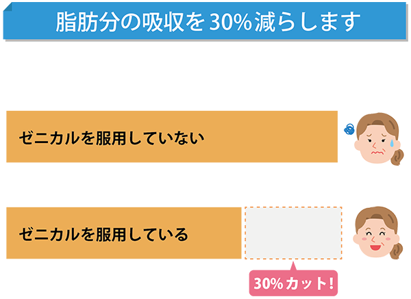 ゼニカルの働き
