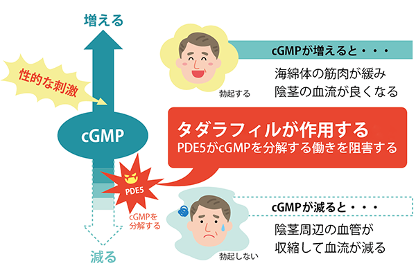 不安神経症の薬は勃起不全を引き起こしますか？