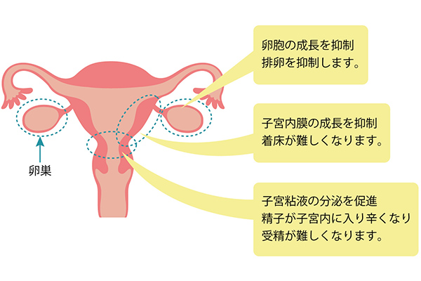 トリキュラーの働き
