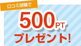 500ptプレゼント